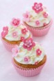 /album/fotogaleria-cupcakes/a6109786-cupcakes-de-flor-jpg/